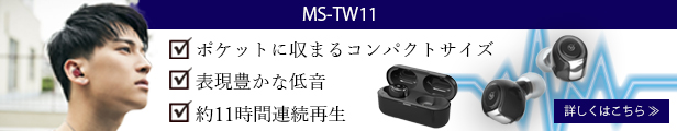 MS-TW22の商品ページ